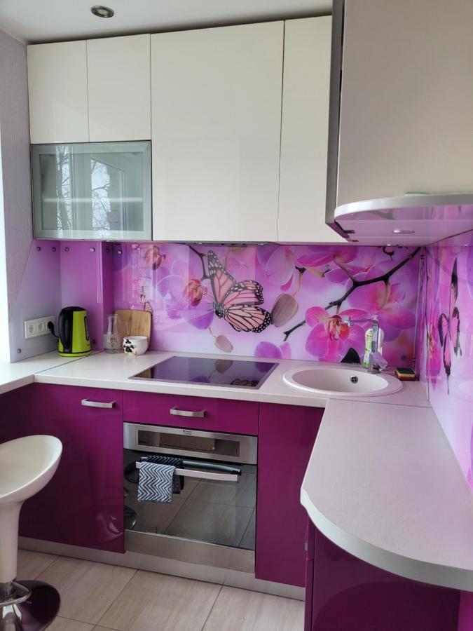 City Apartament Jelgava Kültér fotó